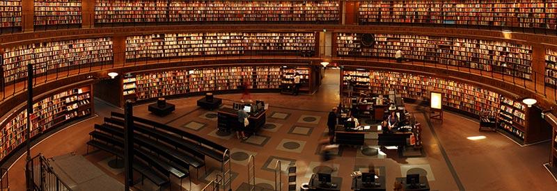 Área de Investigación