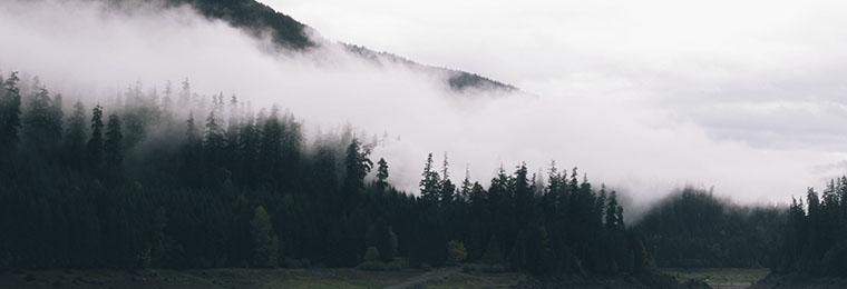 Posgrados en Gestión Medioambiental