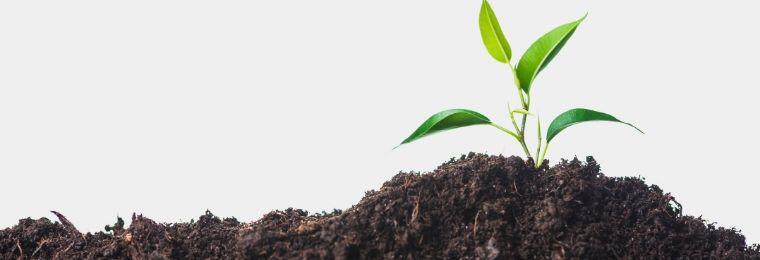 Gestión del impacto ambiental