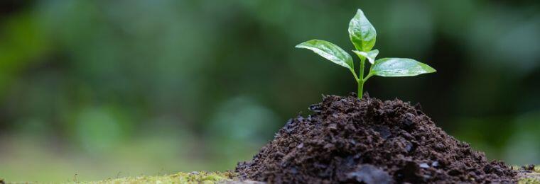 Conceptos clave para entender el desarrollo sustentable