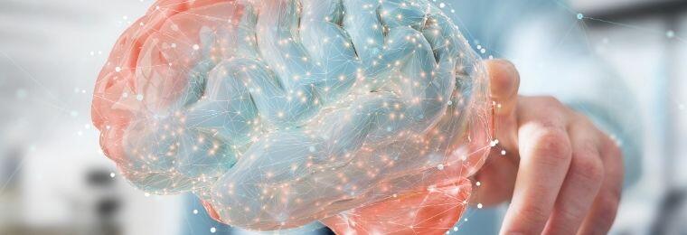 Teoría de las inteligencias múltiples en las aulas y en el trabajo