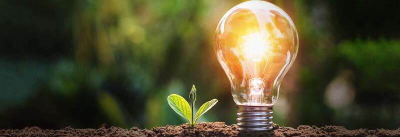 Trabajos de fin de maestría en Ciencias Ambientales