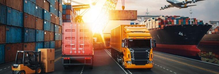 El efecto látigo puede prevenirse, aprenda cómo evitarlo en su empresa