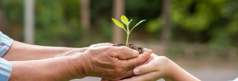 Qué estudia la ecología: valor en empresa