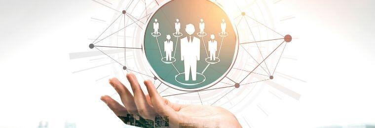 Teoría de sistemas en biología y empresa