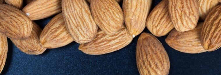 Sistema de producción de la almendra y del cacao: Una caracterización necesaria