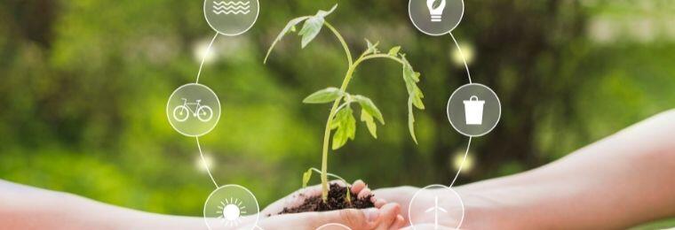 Biocapacidad: ¿una utopía actualmente?