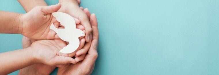 Educación, cultura de paz y transversalidad