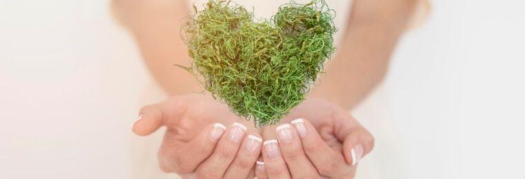 Green Marketing: objetivos y ejemplos