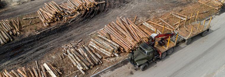 Cuidado del medio ambiente en México