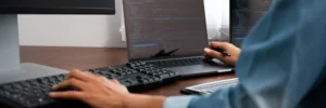 MAESTRÍA EN INGENIERÍA DEL SOFTWARE