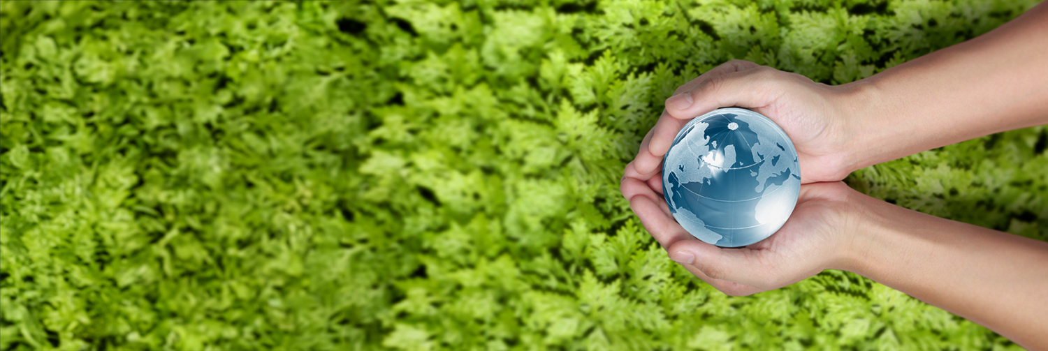 Tesis Doctorales en el área de Ciencias Ambientales