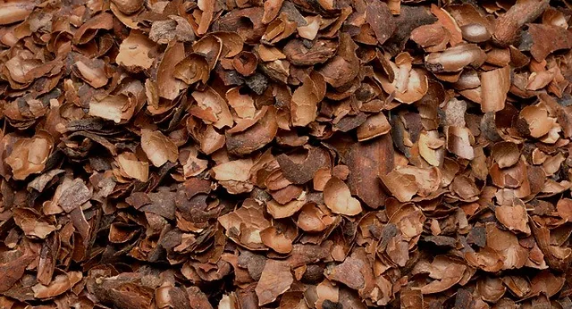 Asimilación de tres residuos en esterculácea (Theobroma Cacao L.), con fines agroalimentarios